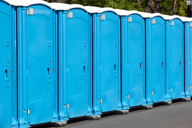 Types of Portable Toilets We Offer in Leona Valley, CA